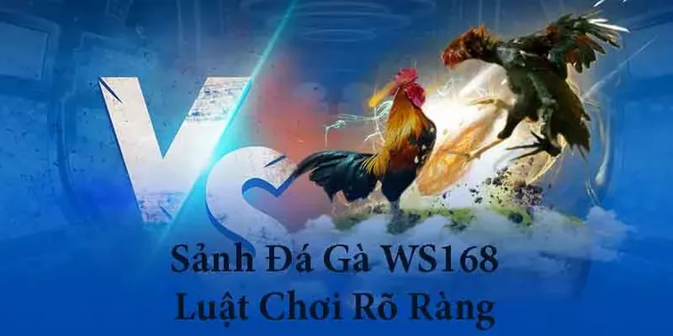Hướng Dẫn Toàn Tập Cách Chơi Đá Gà WS168 Tại GWIN Cho Người Mới