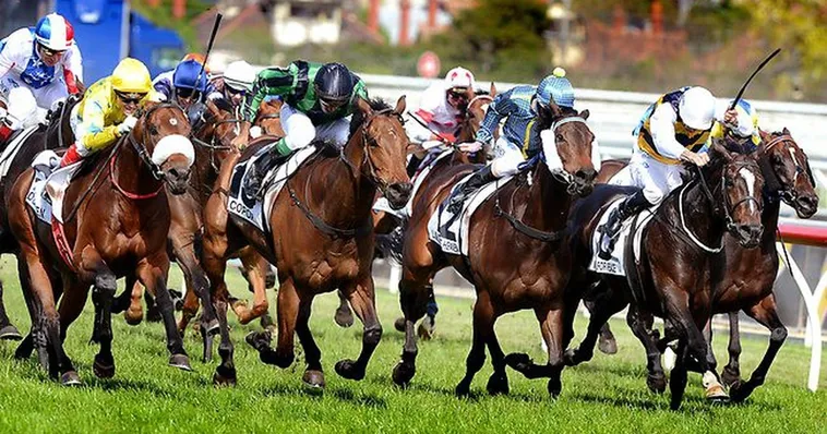 Bí Quyết Tìm Hiểu Cá Cược Đua Ngựa GWIN Từ Chuyên Gia 1 Bí Quyết Tìm Hiểu Cá Cược Đua Ngựa GWIN Từ Chuyên Gia